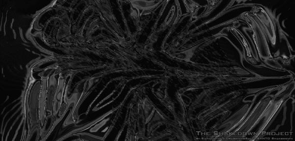 Santo Shakedown Background Cover 1, 2004